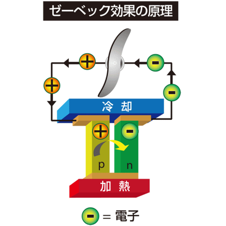 5c454171c3976c30d2ba90f3
