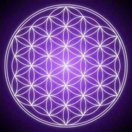 5c526d91e73a2555c47bb641