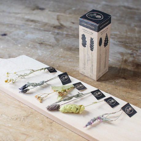 《月1定期便・送料無料》ハーブティー 全12種[6 stems box of Sultan & King]