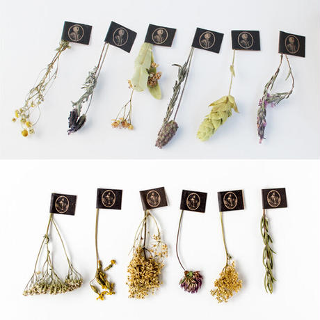 《月1定期便・送料無料》ハーブティー 全12種[6 stems box of Sultan & King]