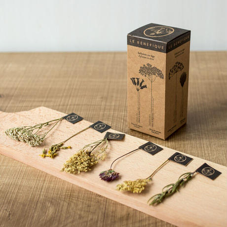 《月1定期便・送料無料》ハーブティー 全12種[6 stems box of Sultan & King]