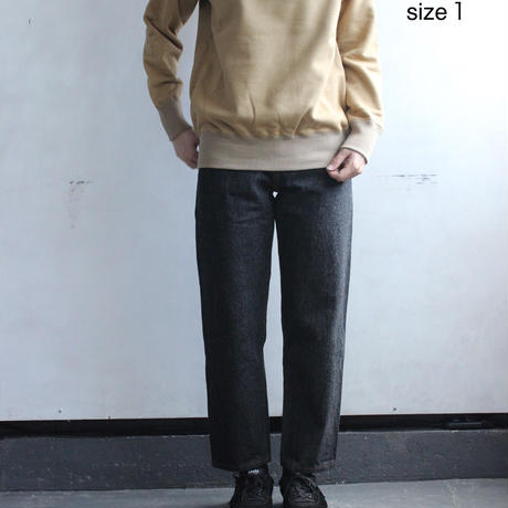 59a4df1af22a5b2555000064