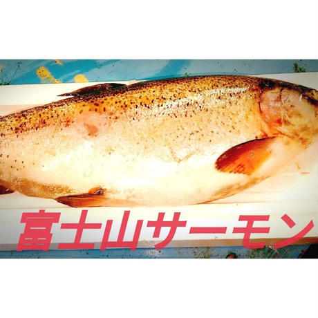 591ab002428f2d263d009fcc