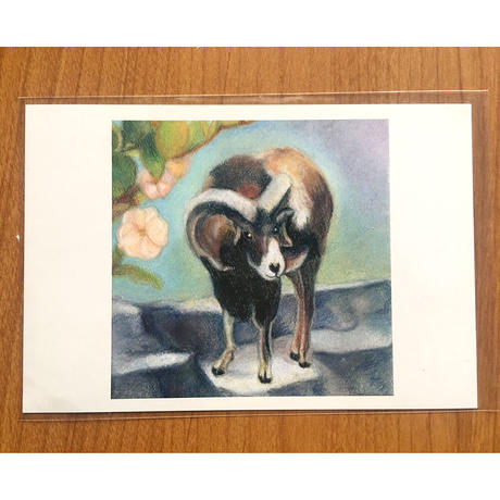 バッファロー Stores バッファロー Stores