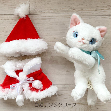 5dd7966a2785d81ab5c6385d
