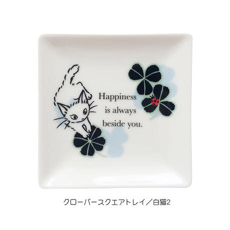 5bd6b172ef843f01c8000051