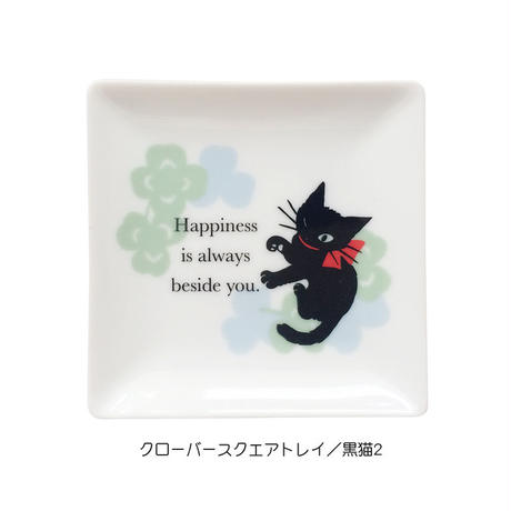 5bd6b172ef843f01c8000051
