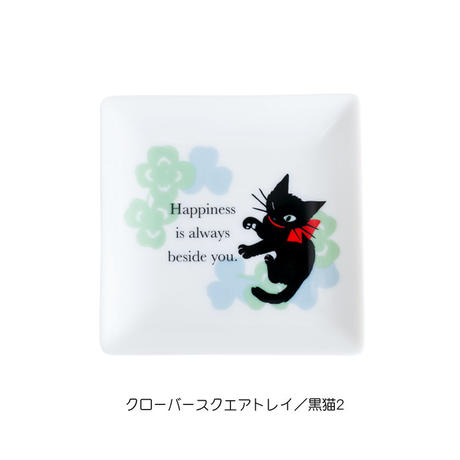 5bd6b172ef843f01c8000051