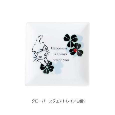 5bd6b172ef843f01c8000051
