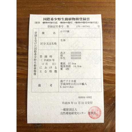 5b692ae25f78667de6000534