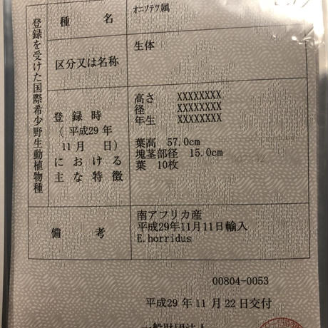 5a914bcaf22a5b04eb000553