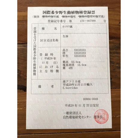 5c5ba997e73a256e1b9b8b2f
