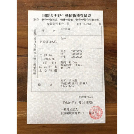5c5babfc787d8415a8048f40