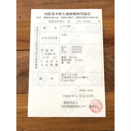 5c5bab58e73a256e1b9b8c05