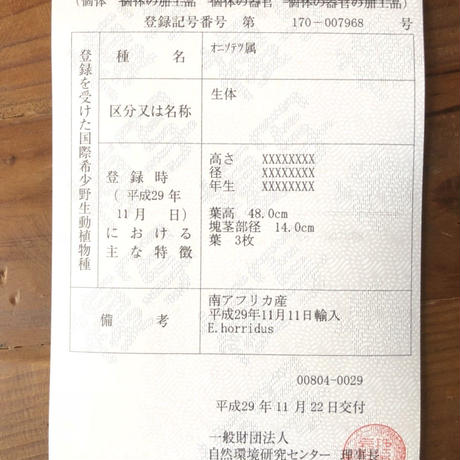 5b8f85b2ef843f4f0f000268