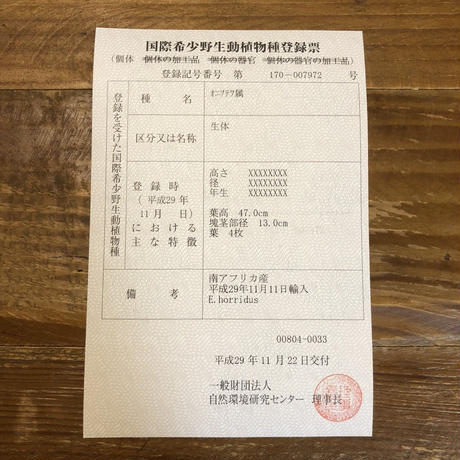 5b756f59a6e6ee11aa000054
