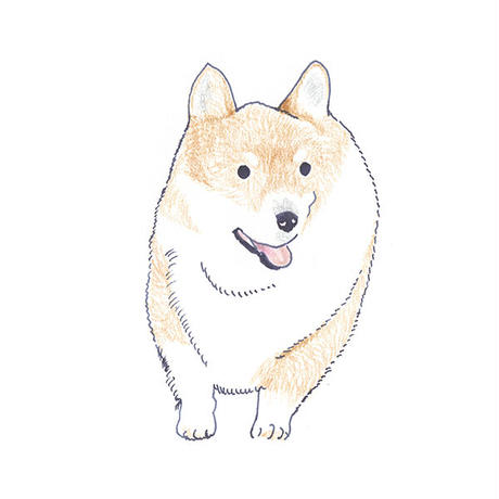 5f88136d6e8b2b3cb6328a1a