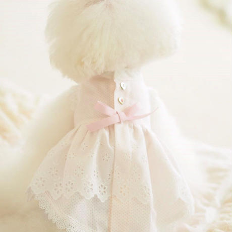 5c8b52a0164eb12a3c1e60e6