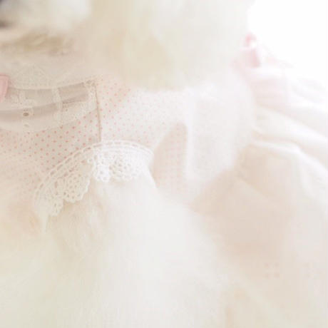 5c8b52a0164eb12a3c1e60e6