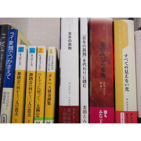 5c88dc6289c42d54fc56243f