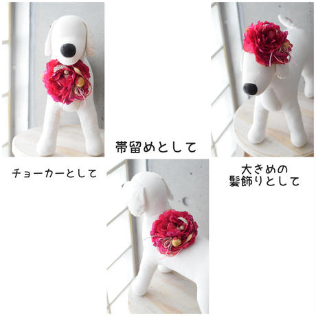 5bfcd59dc3976c20590000b0