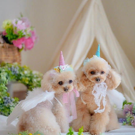 5e108621d790db35cc3c1144