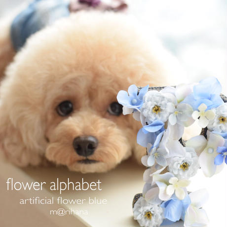 5ab0833b0af15b4b160004ba