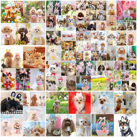 5c5a781be73a254c7a9b8c1b
