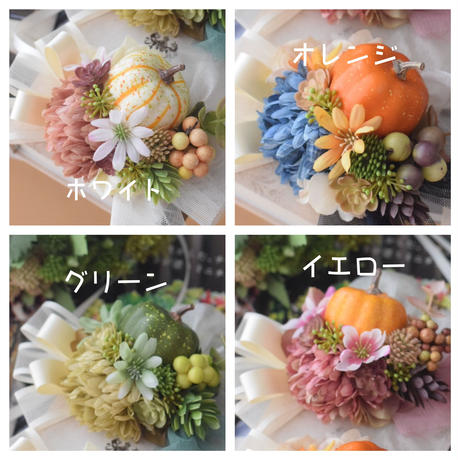 5b557b5b5496ff2c6e000110