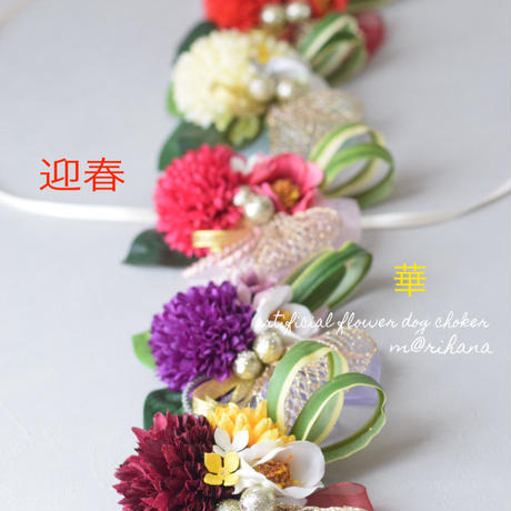 5a179322ed05e665c40009a1