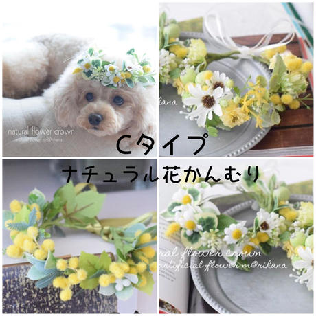 58d4e2a7997ee21d9c000c95