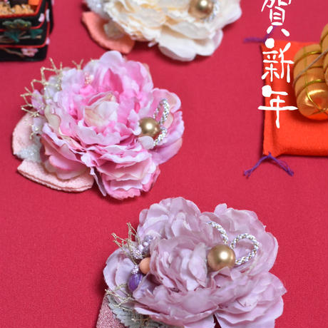 5ddf518c51940c5409b0cc41