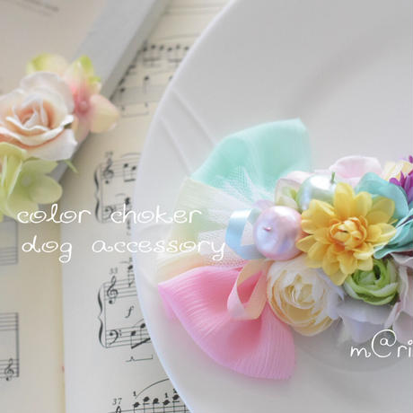 5a6eccd5ed05e615a80016f2