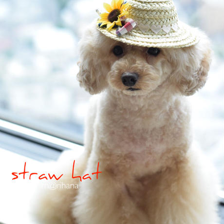 5927d03d3210d55cad00c368