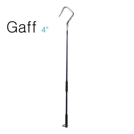 55c19aa42b349203c400277e