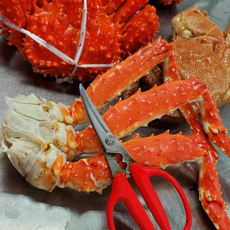 Stores ハサミの検索結果