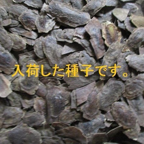 5cbf1fb7686ee26d46e38e06