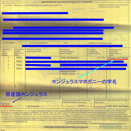 5cc9a1cfa894527b5c3d9a21