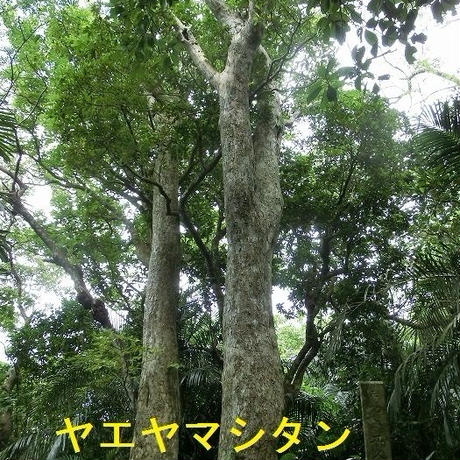 5d627ccf8e69191ae7627165