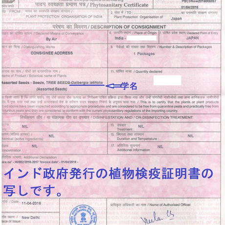 5bd1b2bfc49cf367fd00040d