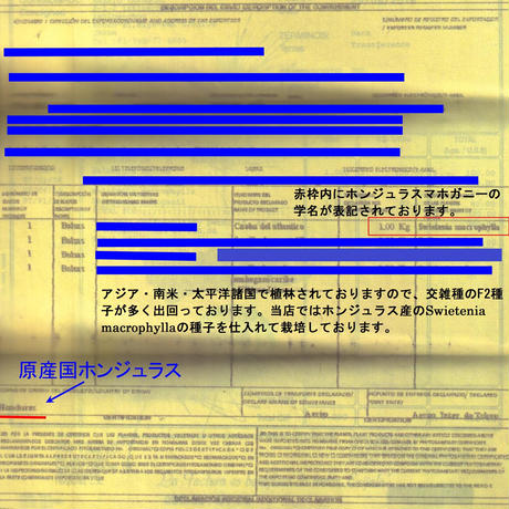5b395edd5f78666ebc0004ae