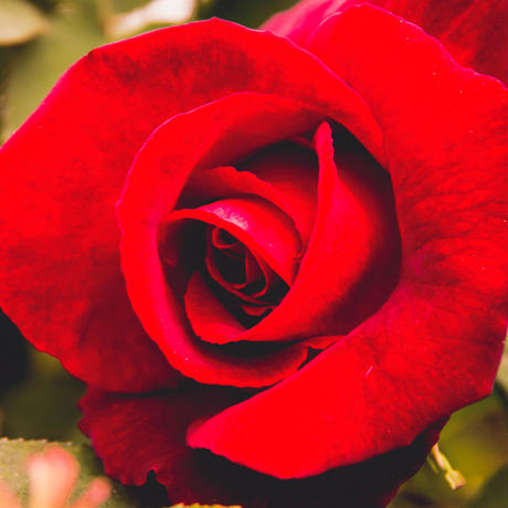 5607d3083bcba9c32000f67d