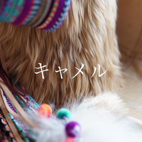 5a6bc316ed05e630c0000bb2