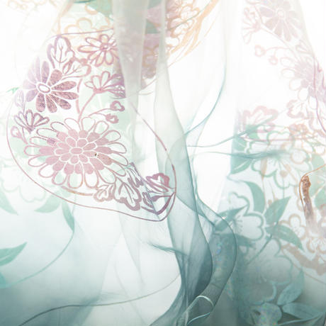 5ce8ceac48d127121c81a055