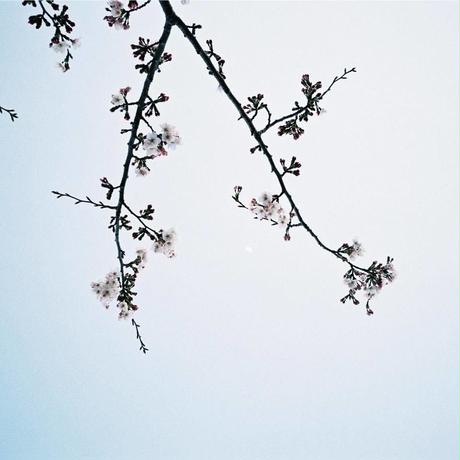 5bb2ccec5496ff4d1e0011df
