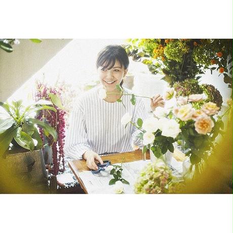 56d17008bfe24c84bf000194