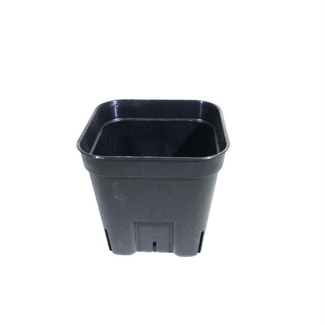 59df041ef22a5b675b0000e6