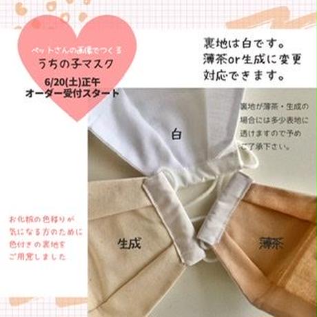 5ec3ca60bd217830ae19f66c