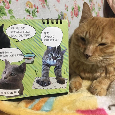 5834279d41f8e88cc700195d
