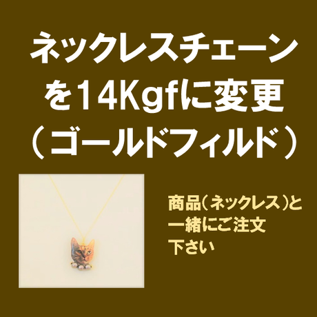 583aad6199c3cddc5900f0b8
